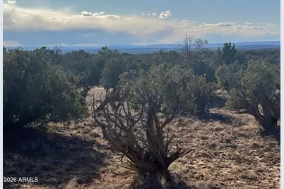 Lot 93 Red Sky Ranch -- #93, Saint Johns, AZ 85936 - Photo 4