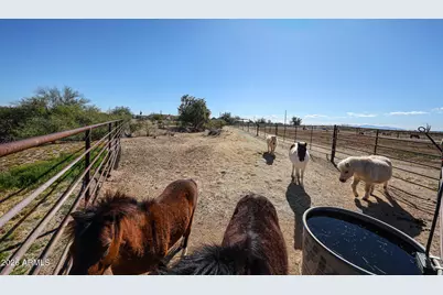 29033 N 165th Avenue, Surprise, AZ 85387 - Photo 50