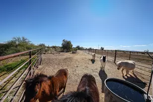 29033 N 165th Ave, Surprise, AZ 85387 - Photo 50