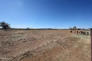 29033 N 165th Ave, Surprise, AZ 85387 - Photo 48