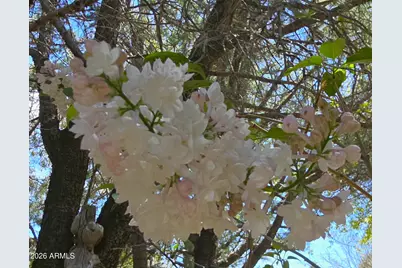 184 E Hilltop Drive, Young, AZ 85554 - Photo 38