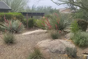 3335 Rising Sun Ridge, Wickenburg, AZ 85390 - Photo 36