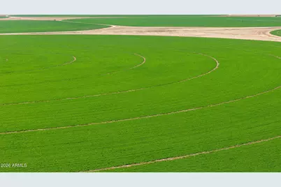 6988 S Wilson Drive, Chandler, AZ 85249 - Photo 50