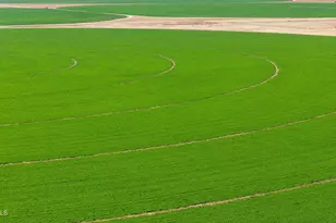 6988 S Wilson Dr, Chandler, AZ 85249 - Photo 50