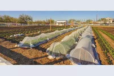 9833 E Stratus Avenue, Mesa, AZ 85212 - Photo 28