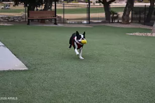 18726 N Saltillo Dr, Surprise, AZ 85387 - Photo 64