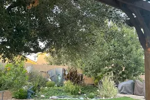 1628 W Fruit Tree Ct, San Tan Valley, AZ 85144 - Photo 20