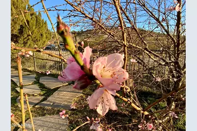 2620 E Desert Willow Drive, Rimrock, AZ 86335 - Photo 66