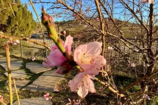 2620 E Desert Willow Dr, Rimrock, AZ 86335 - Photo 66