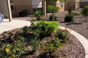 22407 W Morning Glory St, Buckeye, AZ 85326 - Photo 28