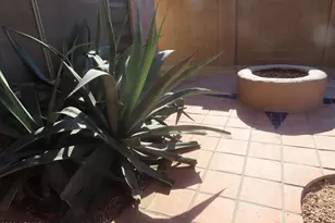 7236 E Melrose St, Mesa, AZ 85207 - Photo 18