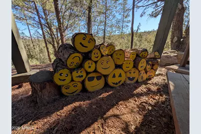 437 W Elusive Drive, Payson, AZ 85541 - Photo 24