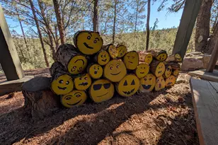 437 W Elusive Dr, Payson, AZ 85541 - Photo 24