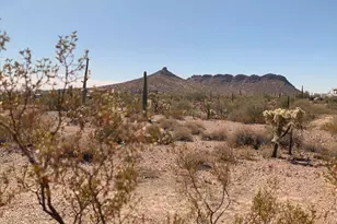 27575 N Dolores Pl, San Tan Valley, AZ 85144 - Photo 50