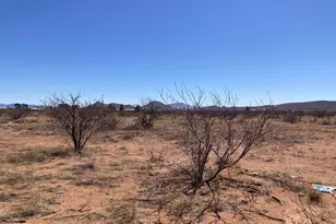 6160 E San Carlos Dr, Sunizona, AZ 85625 - Photo 1