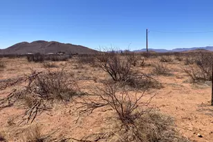 6160 E San Carlos Dr, Sunizona, AZ 85625 - Photo 1