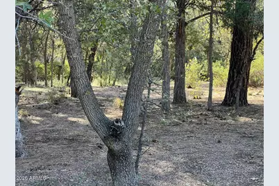 821 W Eagle Ridge Circle #-, Payson, AZ 85541 - Photo 1