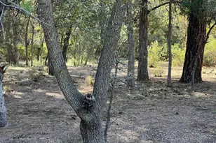 821 W Eagle Ridge Circle, Payson, AZ 85541 - Photo 1