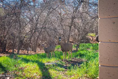 3775 E Sycamore Lane, Rimrock, AZ 86335 - Photo 32