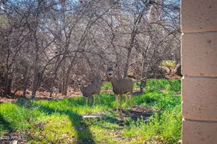 3775 E Sycamore Ln, Rimrock, AZ 86335 - Photo 32