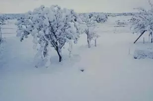 5803 Dark Canyon Dr, Winslow, AZ 86047 - Photo 34