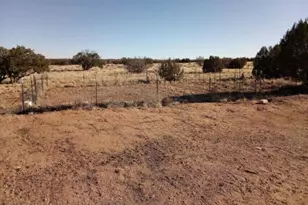 5803 Dark Canyon Dr, Winslow, AZ 86047 - Photo 22