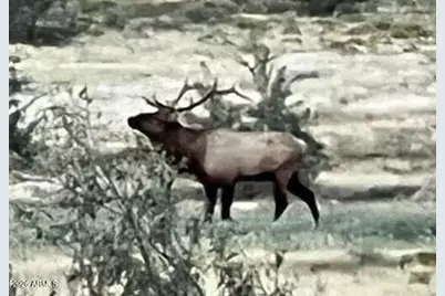 Xxxxx S Knight Creek Road #3, Kingman, AZ 86401 - Photo 6