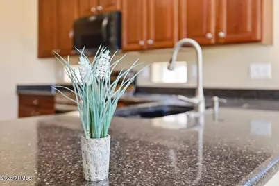 4364 N 156th Lane, Goodyear, AZ 85395 - Photo 4