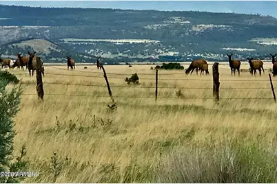 26 N Cr 2009 -- #E, Nutrioso, AZ 85932 - Photo 2