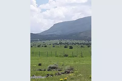 26 N Cr 2009 -- #C, Nutrioso, AZ 85932 - Photo 8