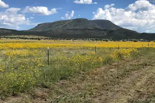 26 N Cr 2009 --, Nutrioso, AZ 85932 - Photo 1