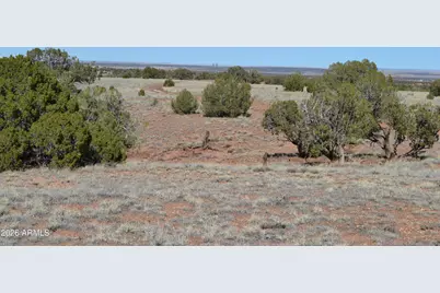 277 County Road N9234 -- #146A,B,C,D, Concho, AZ 85924 - Photo 6