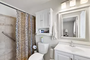 10026 W Riviera Dr, Sun City, AZ 85351 - Photo 34