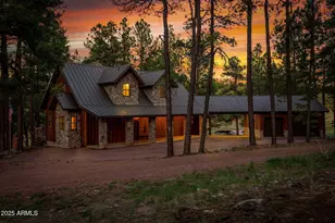 36 Co Rd N2147, Alpine, AZ 85920 - Photo 2