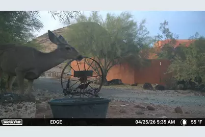 2244 E Cavalry Road, New River, AZ 85087 - Photo 38