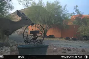 2244 E Cavalry Rd, New River, AZ 85087 - Photo 38