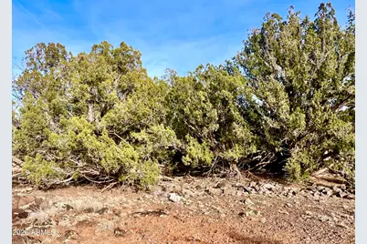 1877 Rainbow Circle #-, Show Low, AZ 85901 - Photo 8