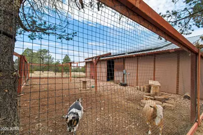487 Co Rd 3144 --, Show Low, AZ 85940 - Photo 52