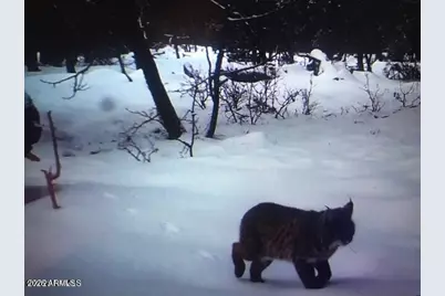 17810 S Walapai Road #72, Munds Park, AZ 86017 - Photo 22