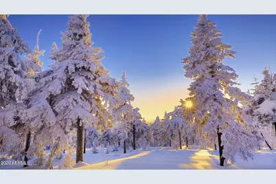 17810 S Walapai Road #72, Munds Park, AZ 86017 - Photo 20