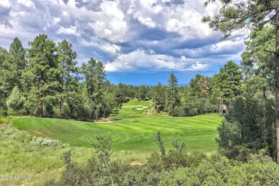 2502 E Grapevine Drive #347, Payson, AZ 85541 - Photo 4