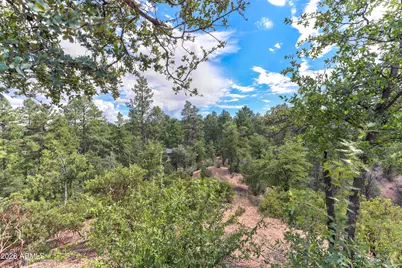 2502 E Grapevine Drive #347, Payson, AZ 85541 - Photo 6