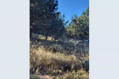 Lot 163 N Portal Drive #163, Pine, AZ 85544 - Photo 8