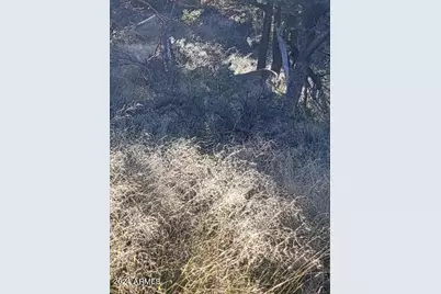 Lot 163 N Portal Drive #163, Pine, AZ 85544 - Photo 6