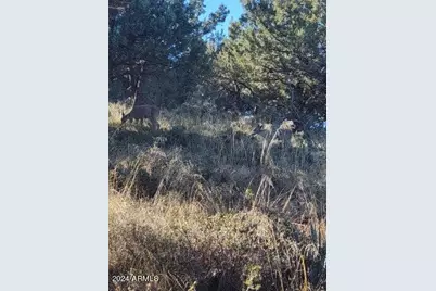 Lot 163 N Portal Drive #163, Pine, AZ 85544 - Photo 10