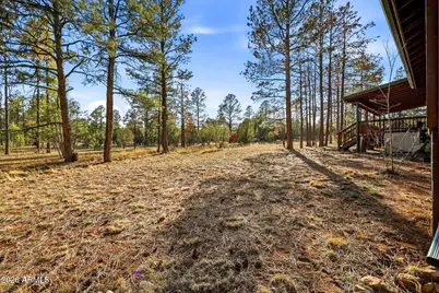 2233 Del Rio Circle, Overgaard, AZ 85933 - Photo 42