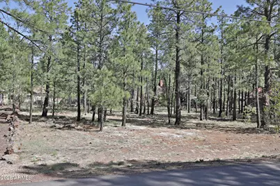 7466 Buck Springs Road #175, Pinetop, AZ 85935 - Photo 1