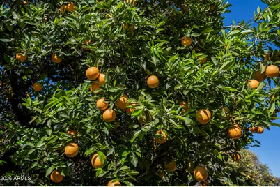 3905 E Mallory Circle, Mesa, AZ 85215 - Photo 70