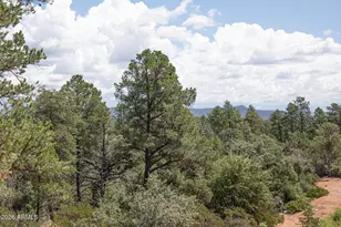 2002 E Thunder Mountain, Payson, AZ 85541 - Photo 34