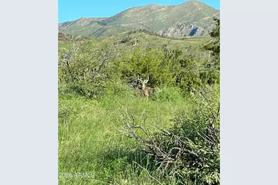 50 Limited Use-Access -- #23, Benson, AZ 85602 - Photo 6